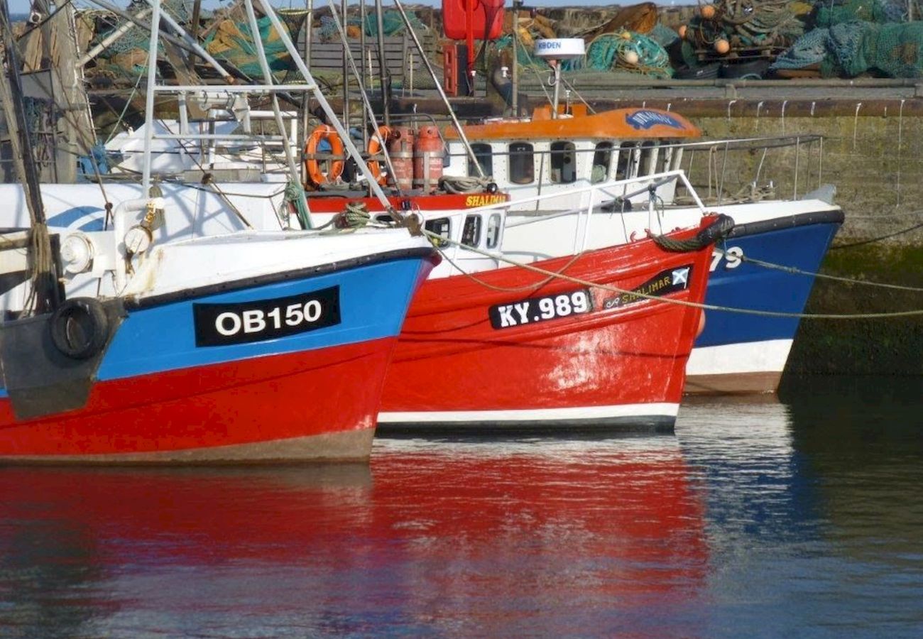 Ferienwohnung in Pittenweem - Penthouse On The Harbour | Pittenweem