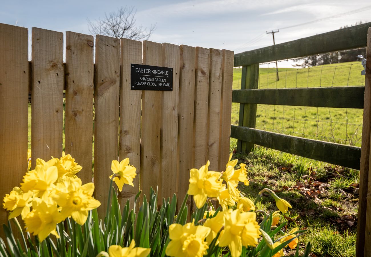 Landhaus in Kincaple - Easter Kincaple Garden Cottage