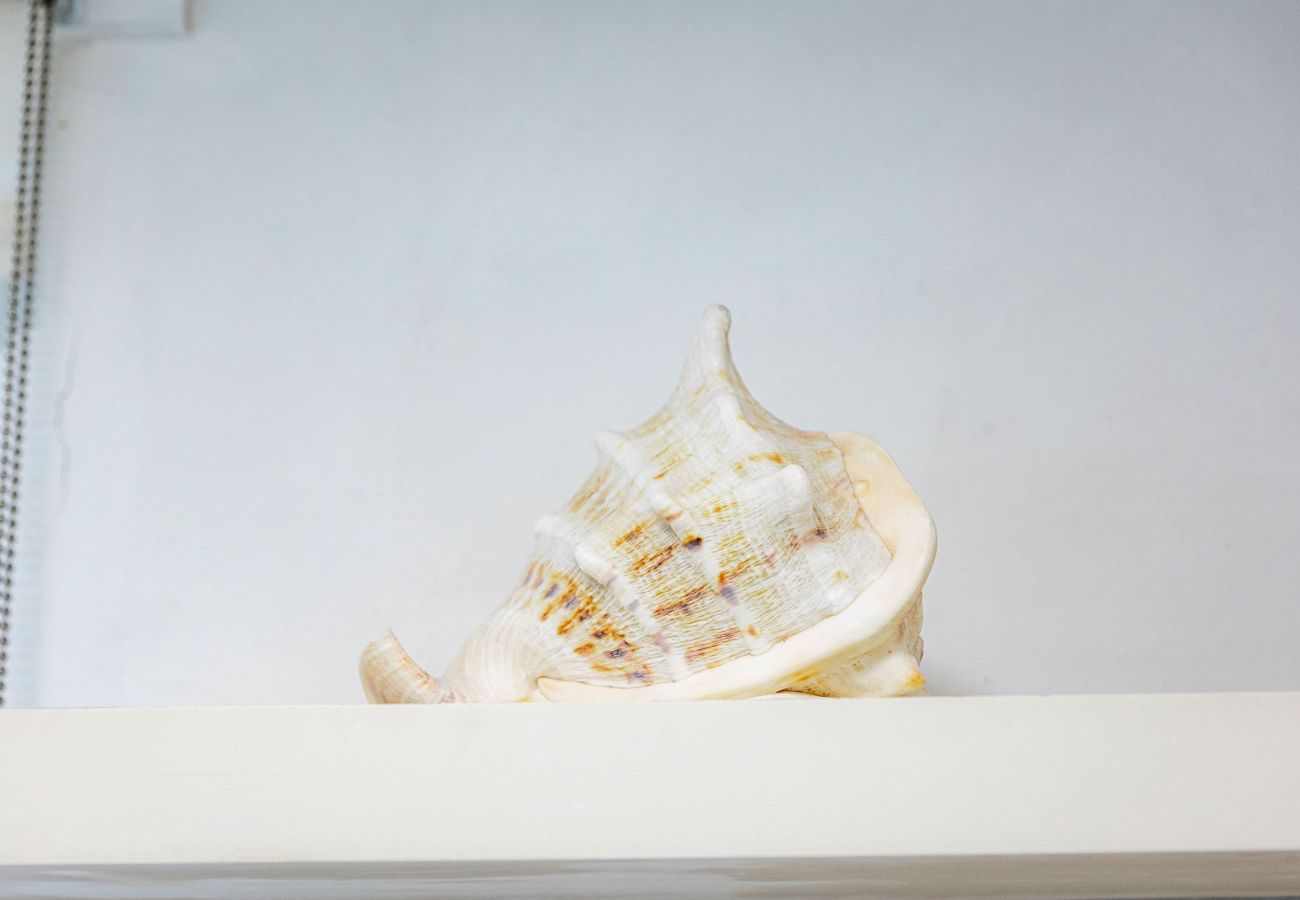 Ferienwohnung in Crail - Harbour View Apartment | Crail