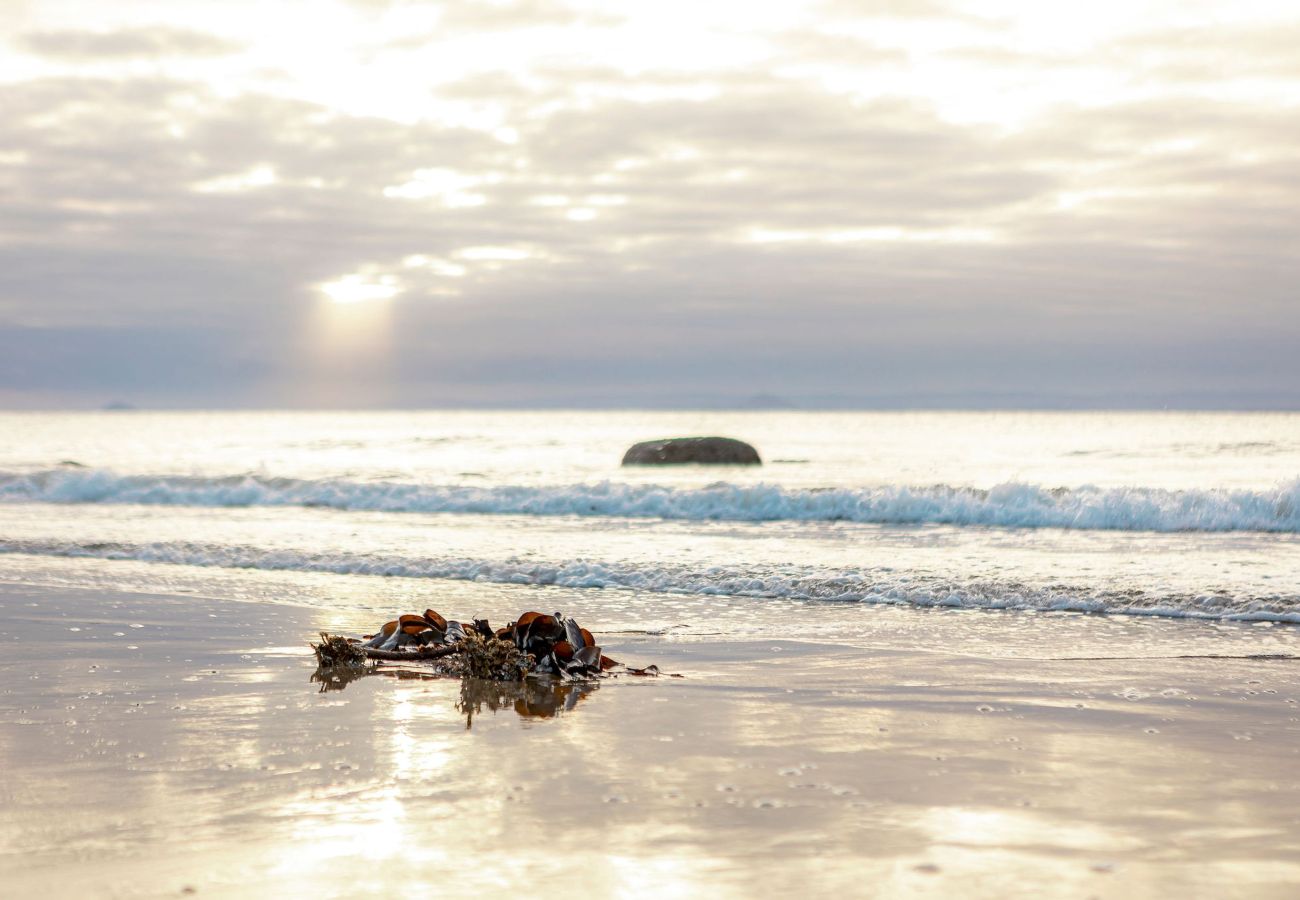 Landhaus in Lower Largo - Rockhopper Cottage | Lower Largo