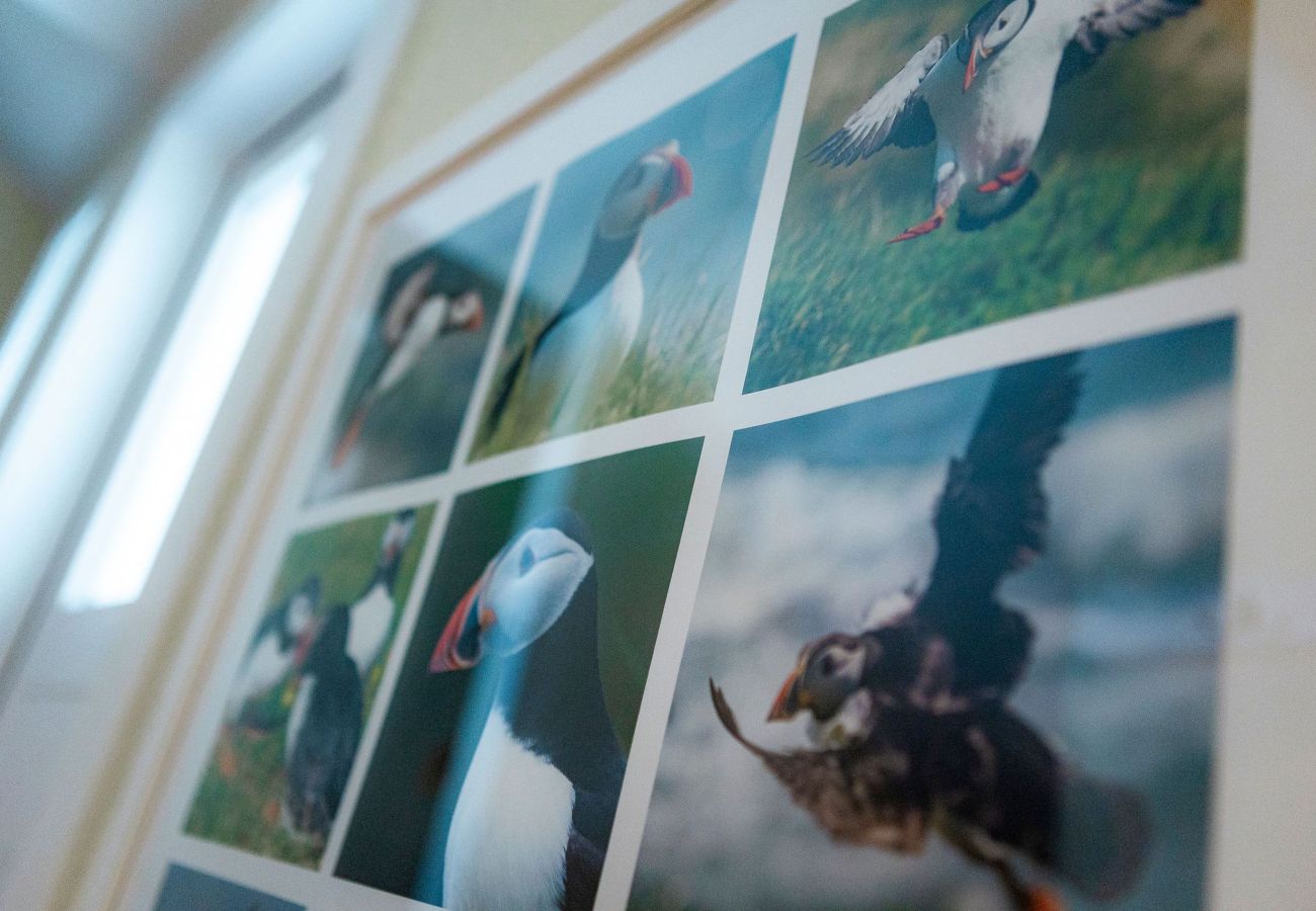 Landhaus in Crail - Seascape Cottage at Crail Harbour
