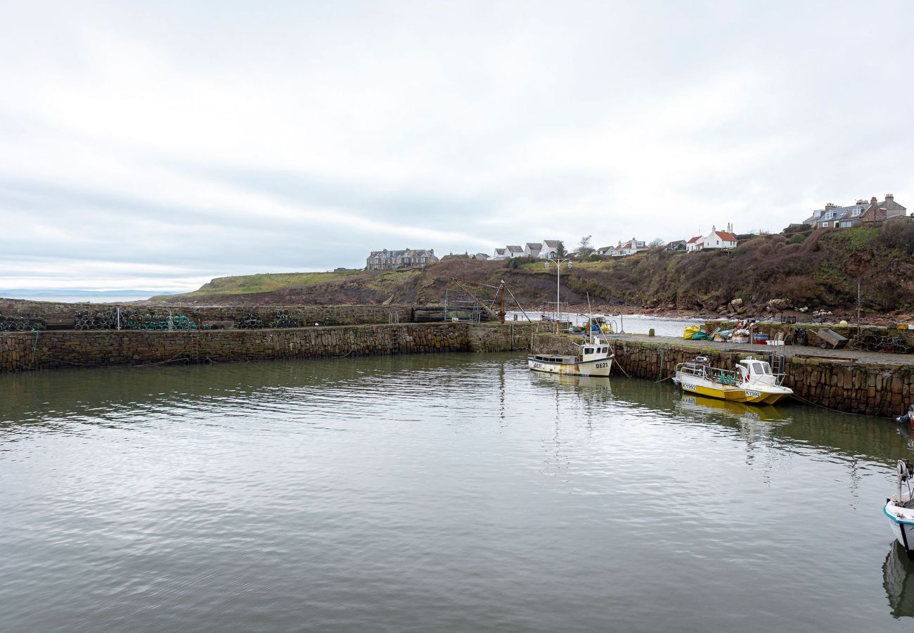 Landhaus in Crail - Seascape Cottage at Crail Harbour