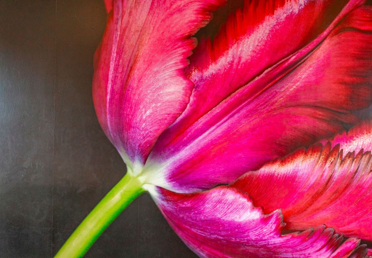 Finca in Anstruther - Swilken Lodge | Blacklaws Steading