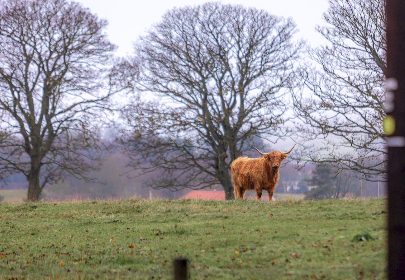 Ferienhaus in Elie - The Lodge House | By Elie