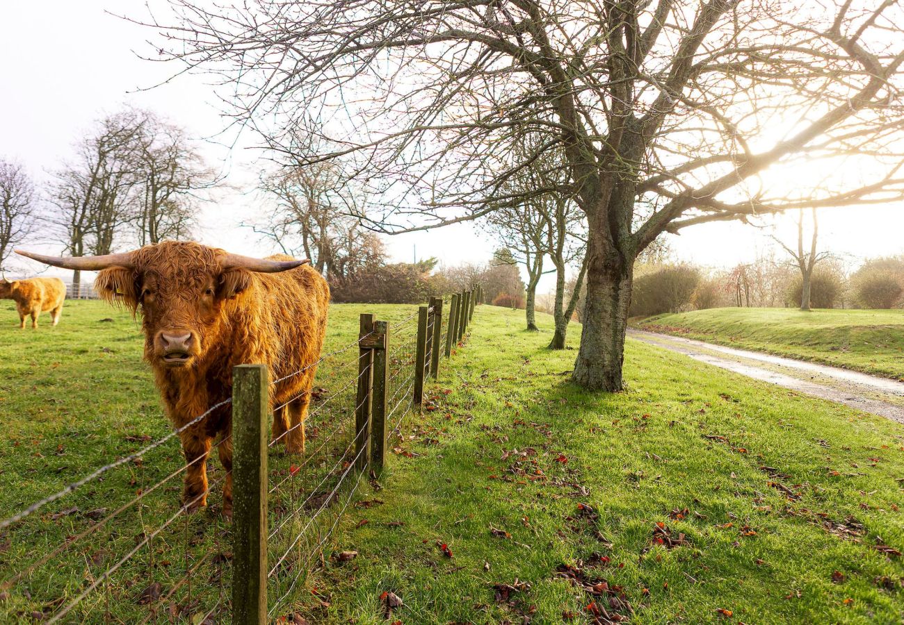 Ferienhaus in Elie - The Lodge House | By Elie