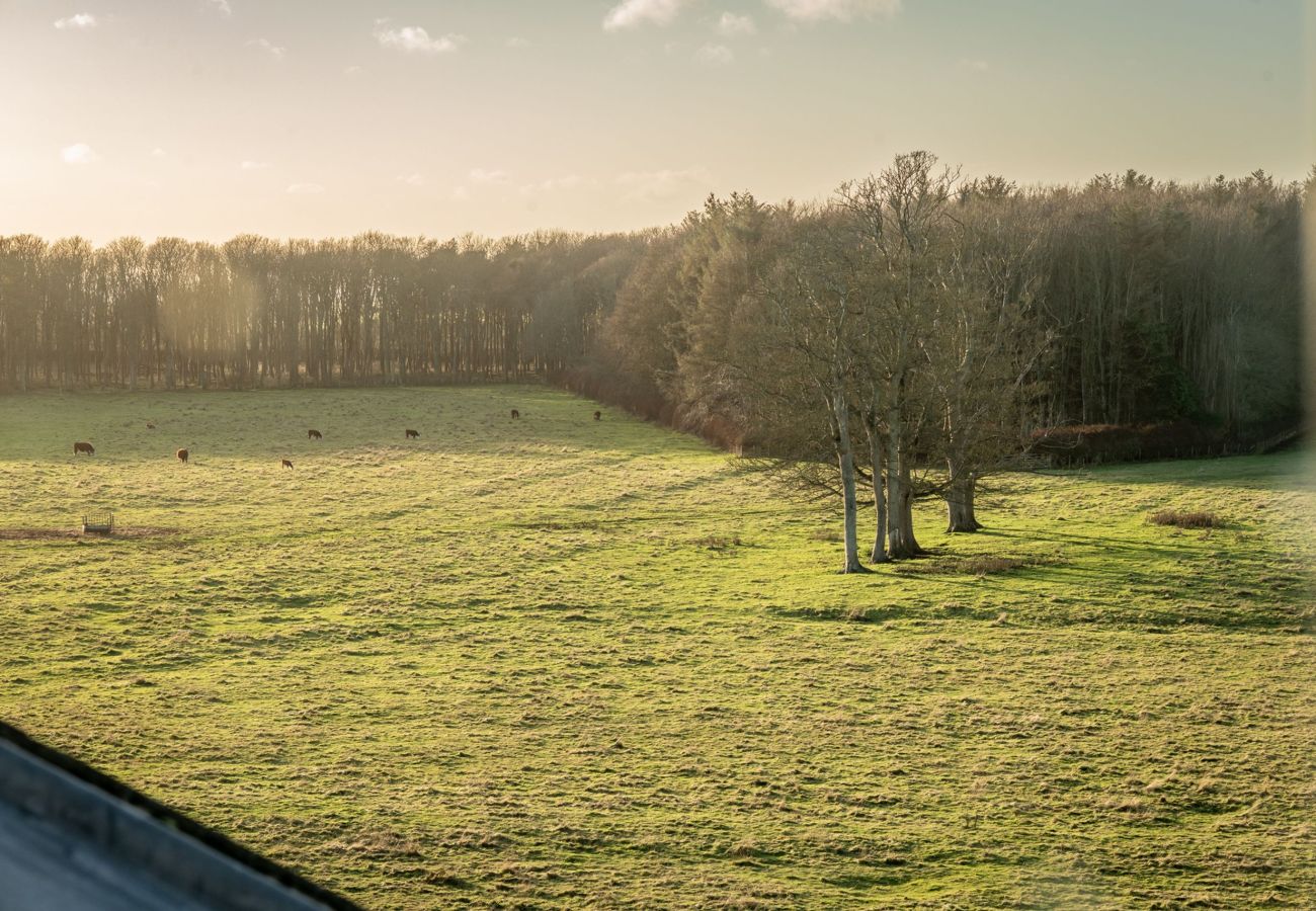 Ferienwohnung in Earlsferry - Elie House (No 12) | Elie