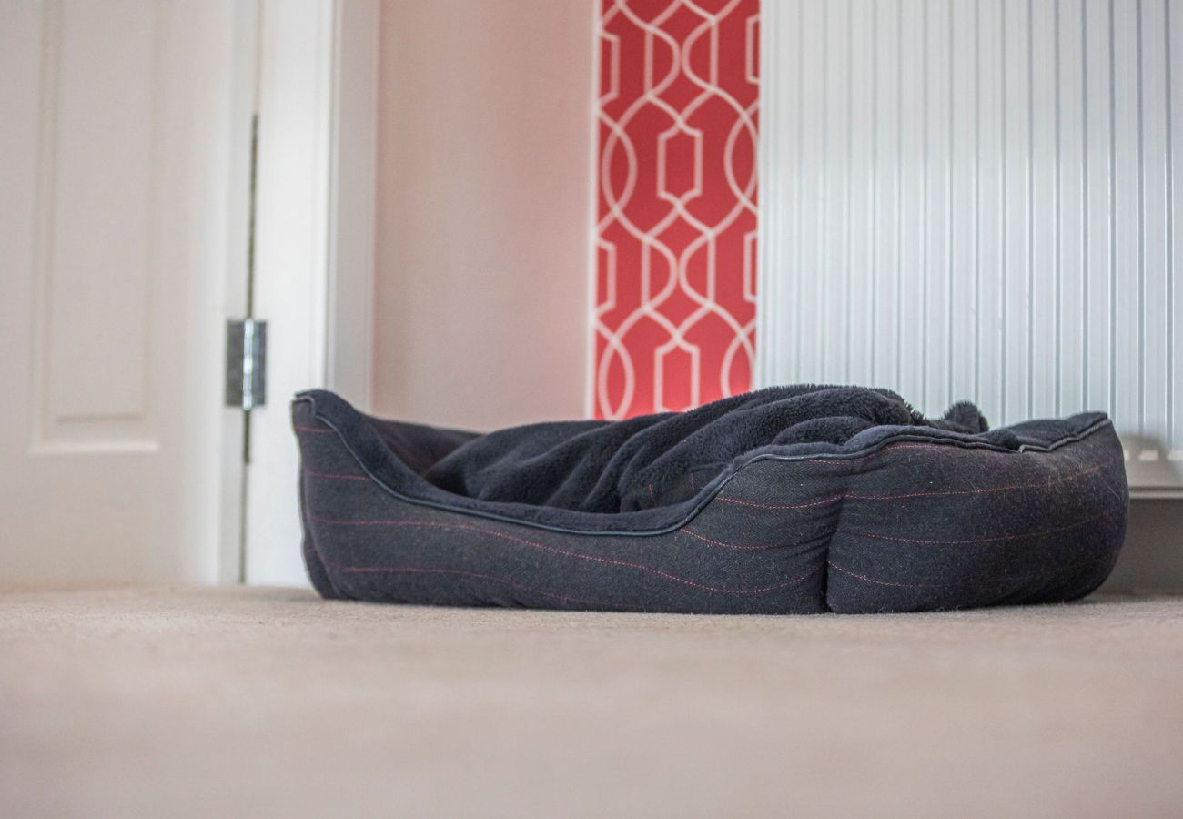 Ferienwohnung in St Monans - Kittiwake, Station Road | St Monans