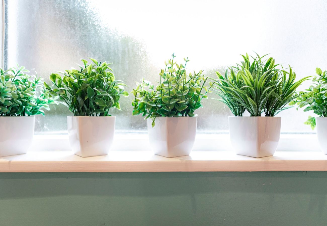 Ferienhaus in Elie - Stoneywell Cottage | Elie