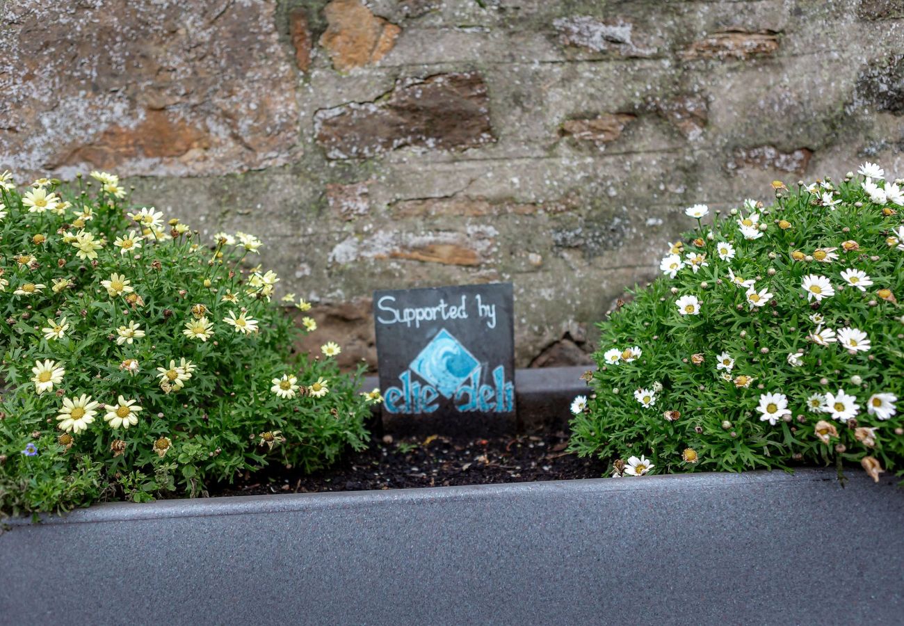 Ferienwohnung in Elie - The Winkle | Elie