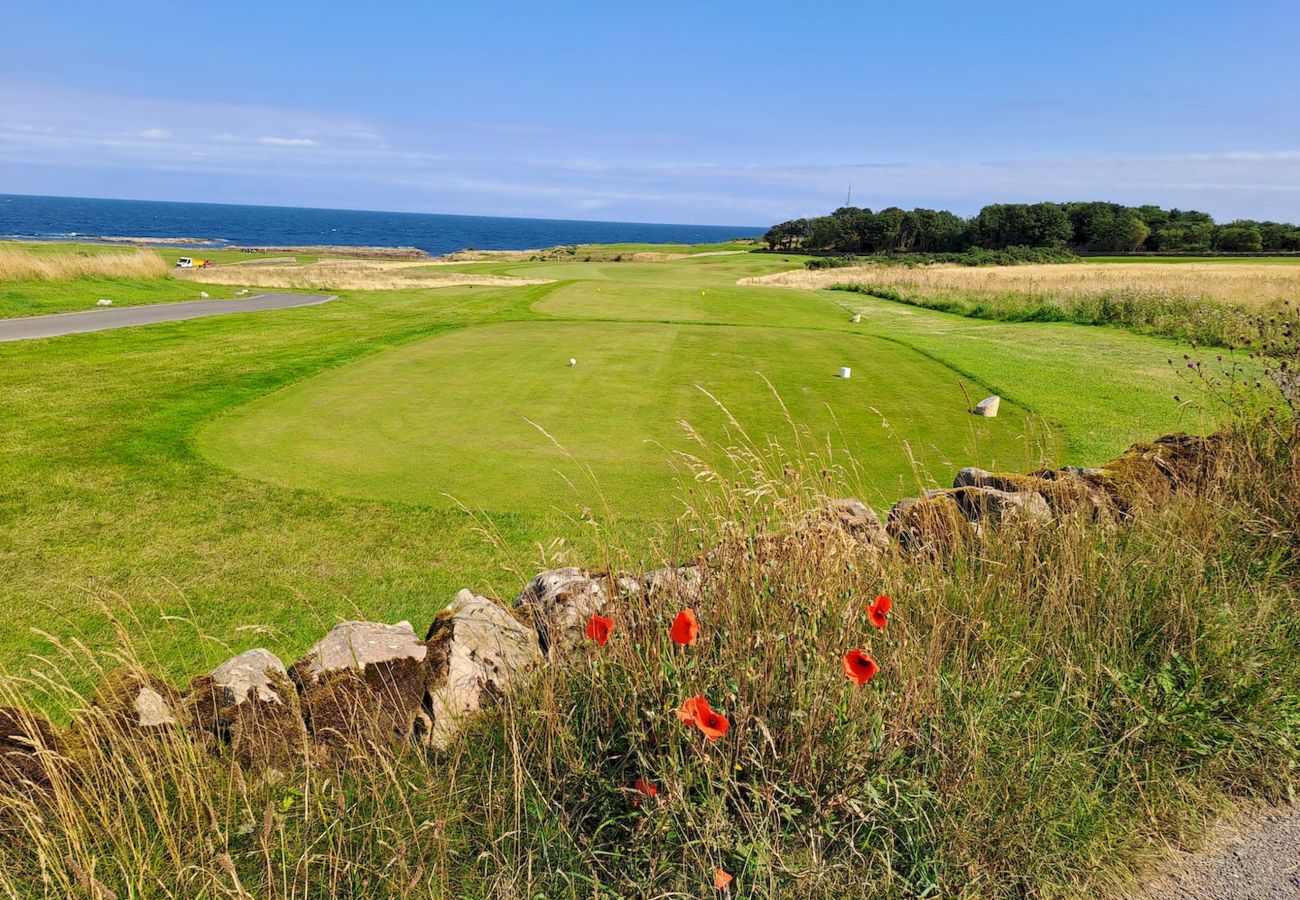 Ferienhaus in Crail - Golfers Haven Links Cottage