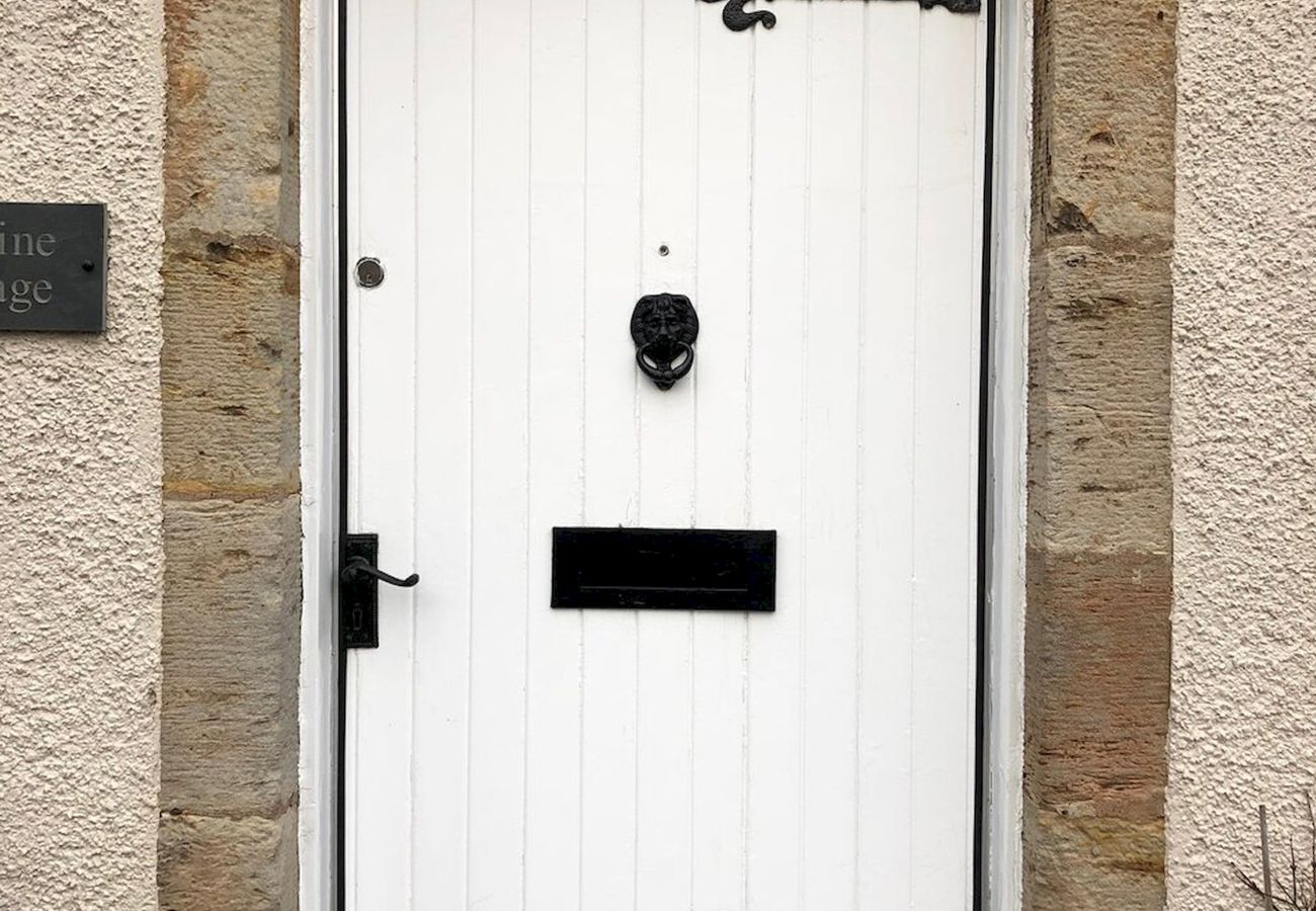 Landhaus in Kilconquhar - Jasmine Cottage | Kilconquhar