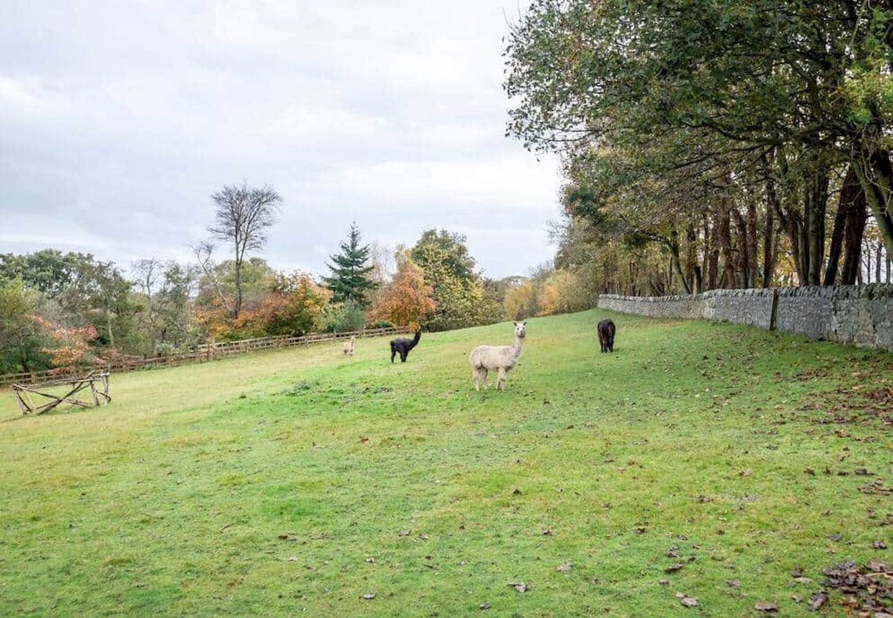 Casa rural en St Andrews - Granary - Quaint & Cosy Cottage