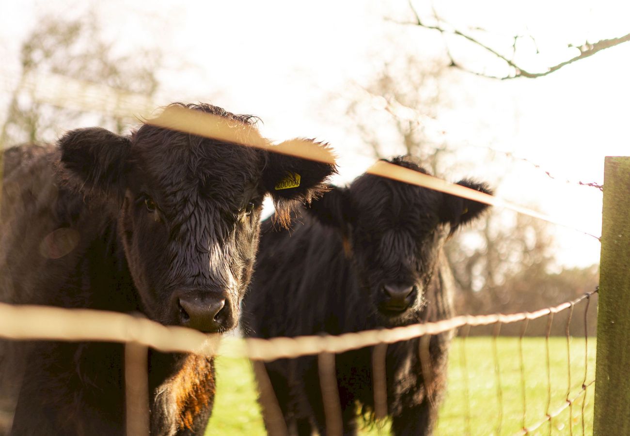 Casa en Elie - The Lodge House | By Elie