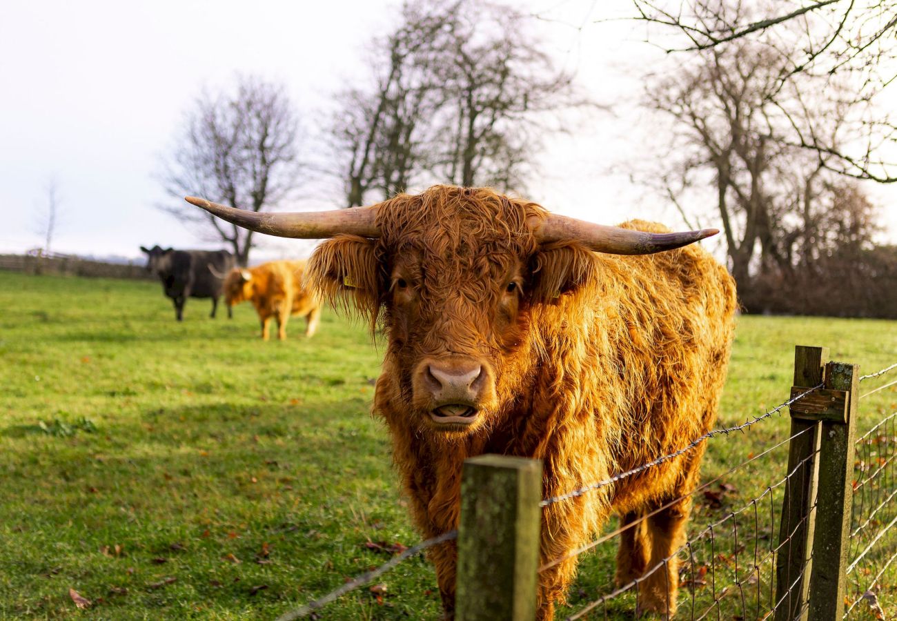 Casa en Elie - The Lodge House | By Elie