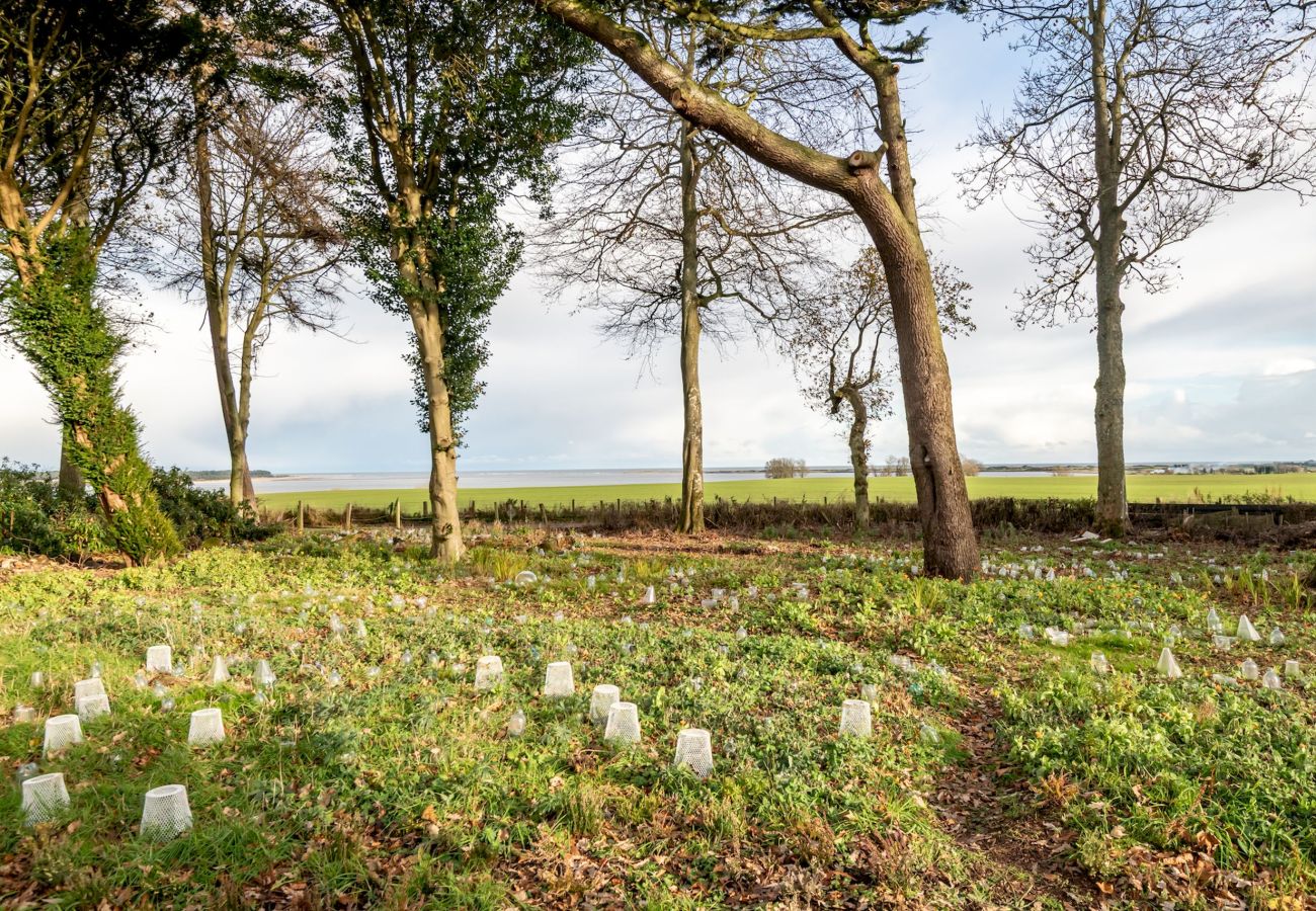 Apartamento en Kincaple - Kincaple Garden Flat