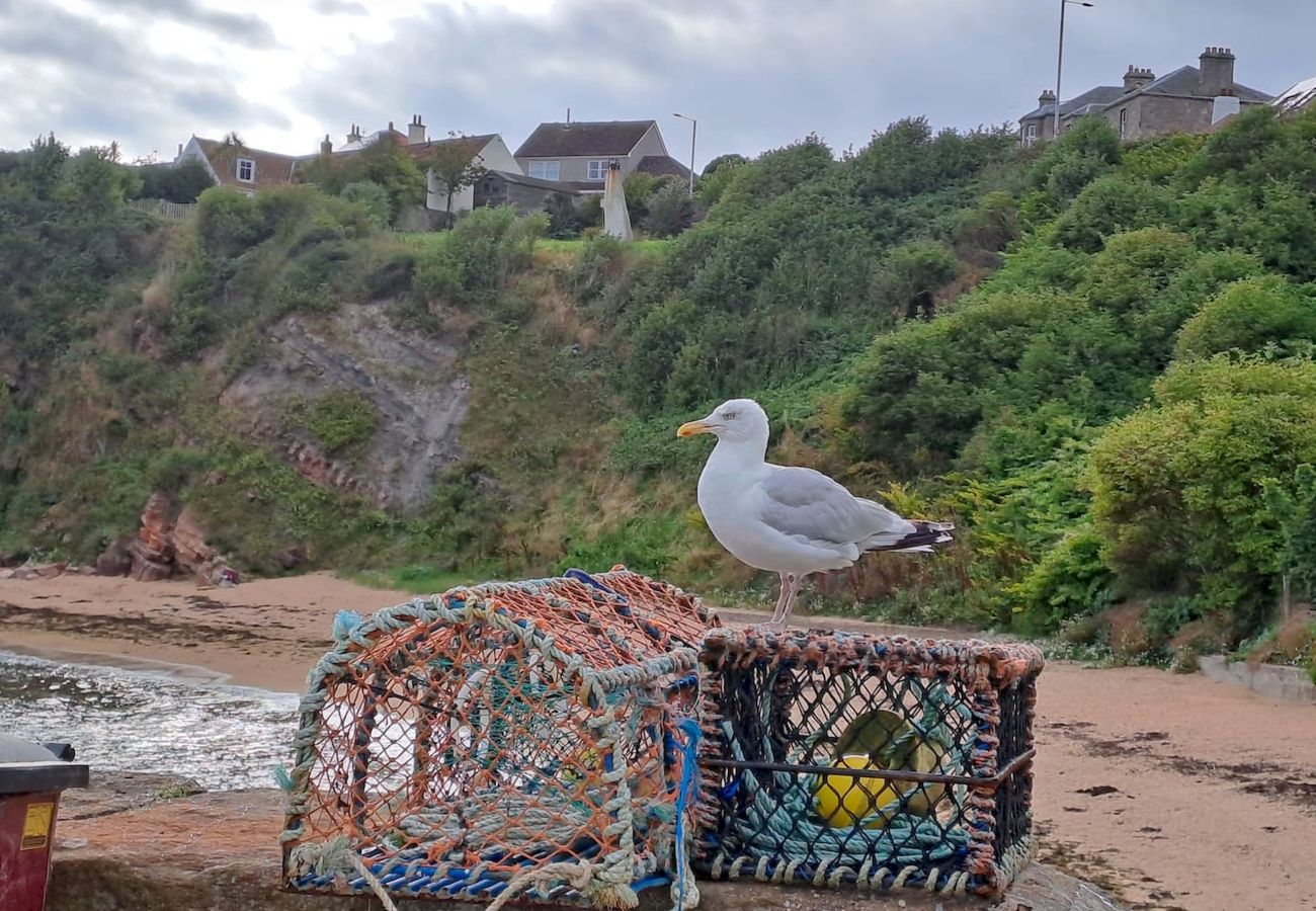 Casa en Crail - Golfers Haven Links Cottage