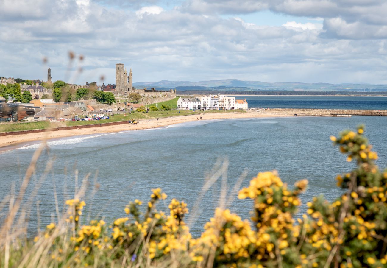 Mobile home en St Andrews - St Andrews Holiday Park | Harbour Reach (No 11)