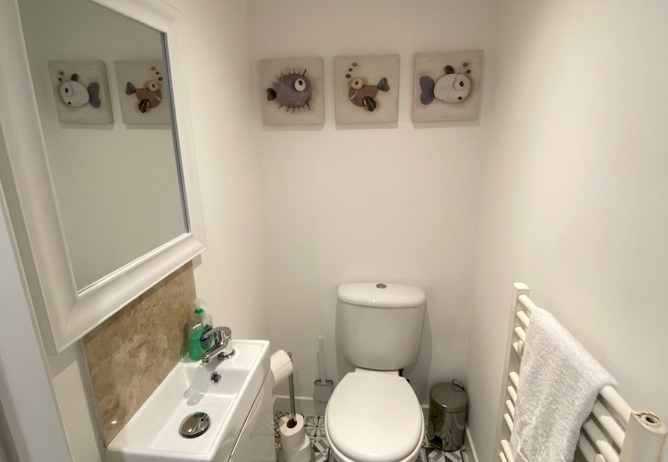 Apartamento en St Andrews - Greyfriars Garden No (14A) | St Andrews