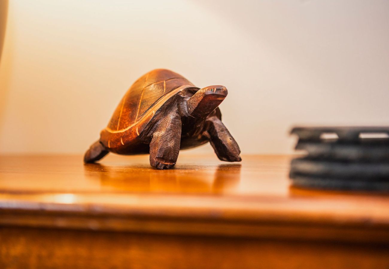 House in Kingsbarns - North Quarter Steading (No 11) | Kingsbarns