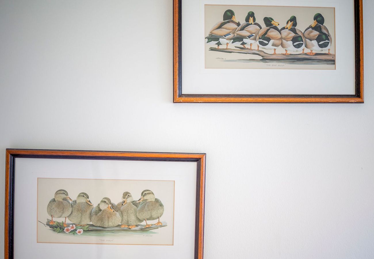 Cottage in Lower Largo - Rockhopper Cottage | Lower Largo