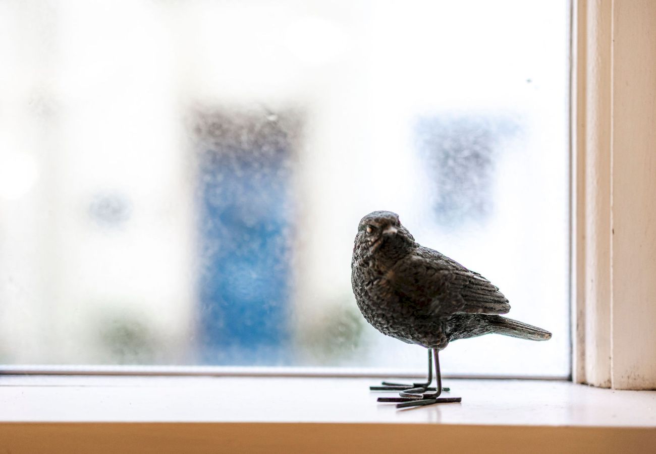 Cottage in St Monans - West End (No 18) | St Monans