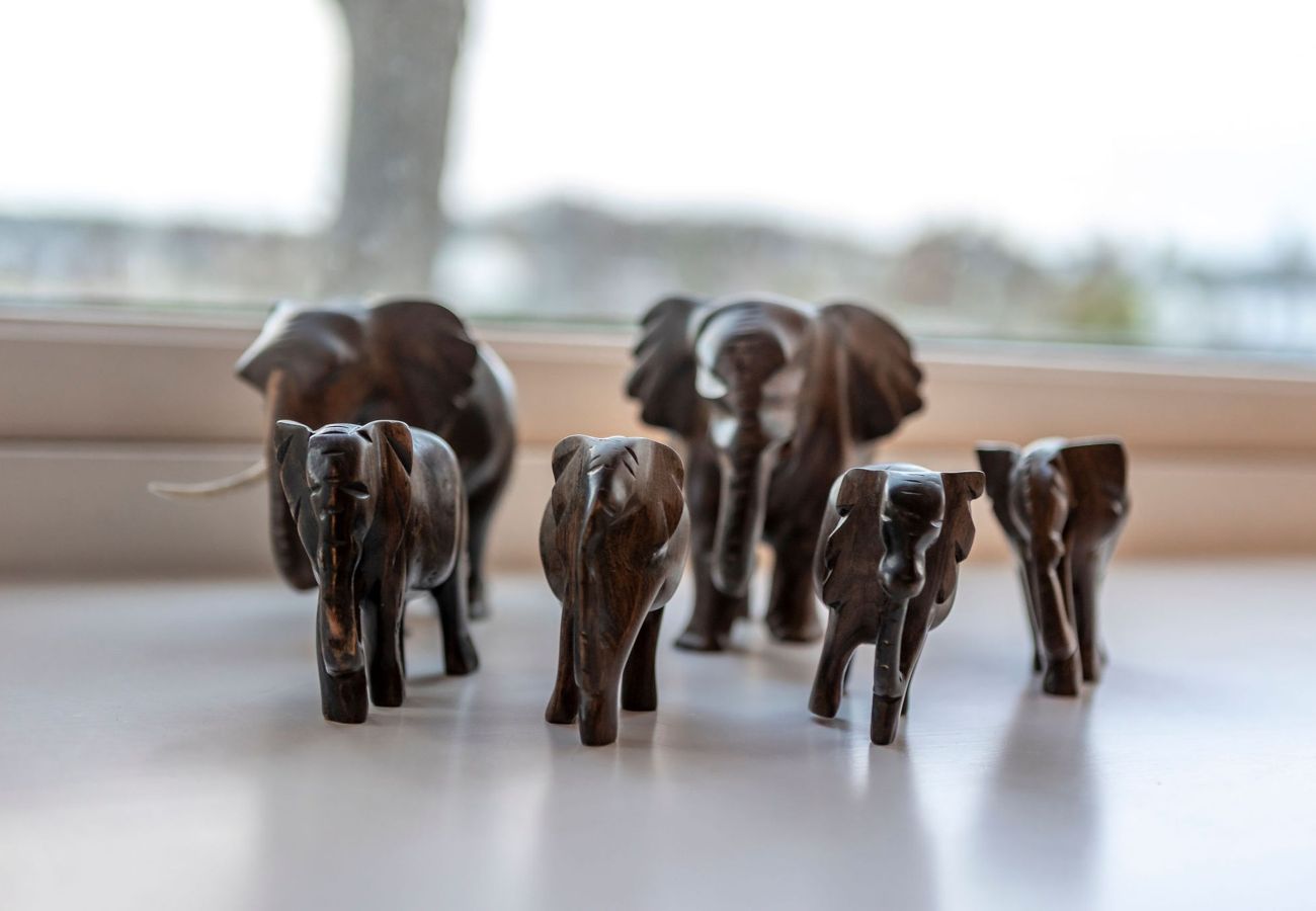 Apartment in Elie - Golf Court (No 5) | Elie