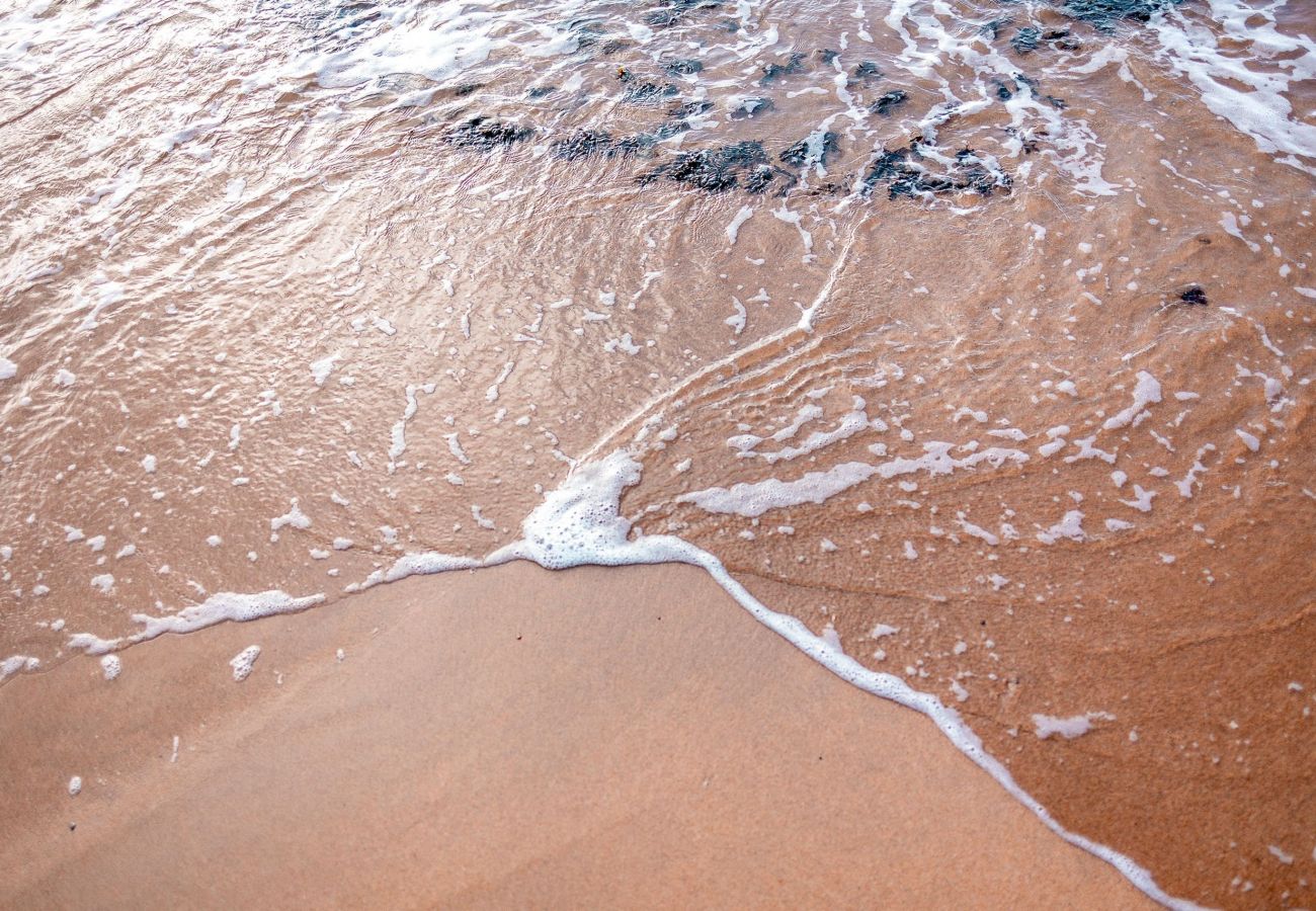 Cottage in Elie - Norloch Cottage | Elie