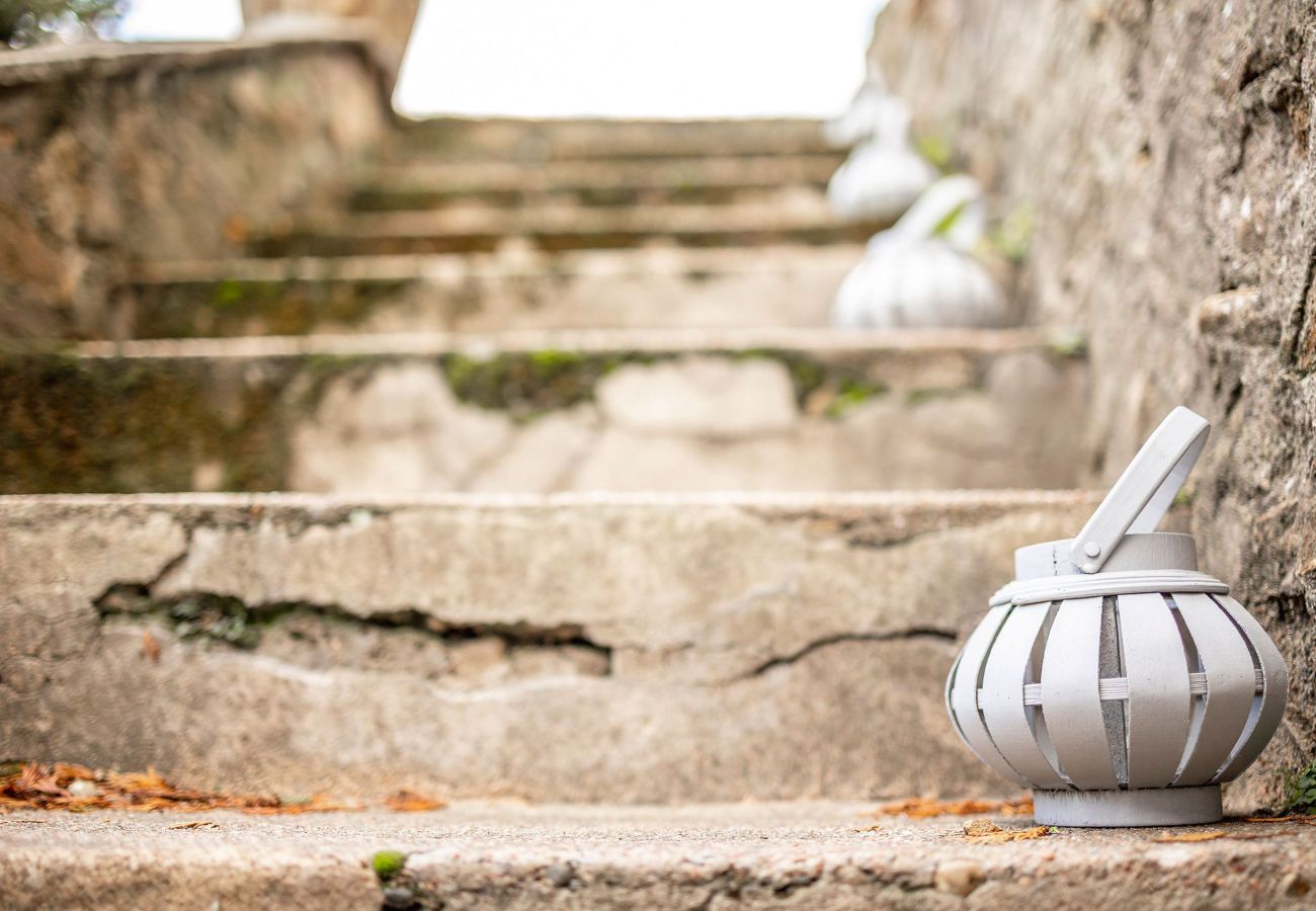 Cottage in Elie - Norloch Cottage | Elie