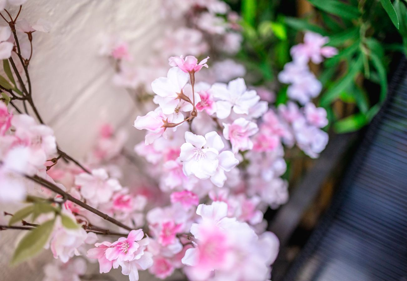 Cottage in Elie - Norloch Cottage | Elie