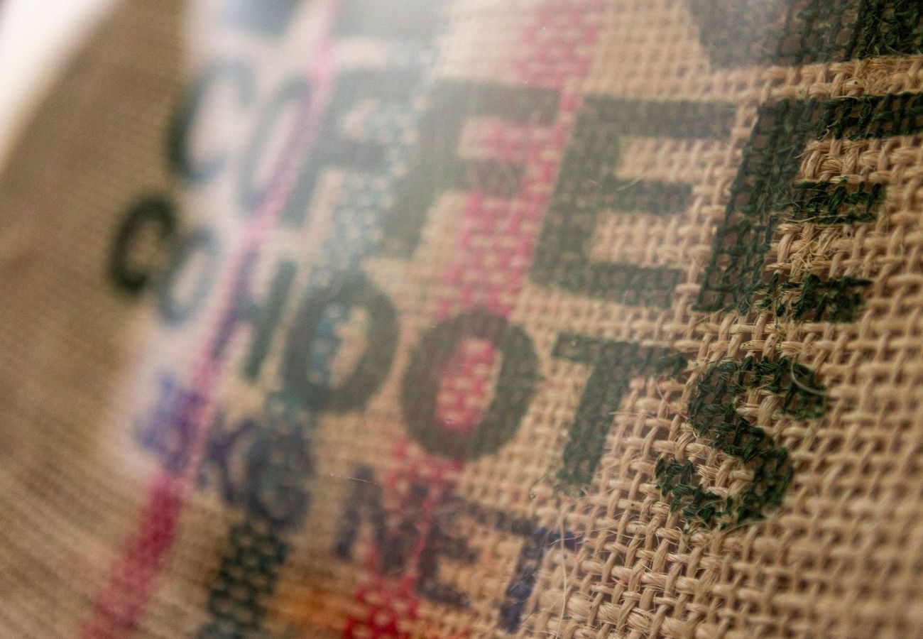 Apartment in Elie - The Winkle | Elie