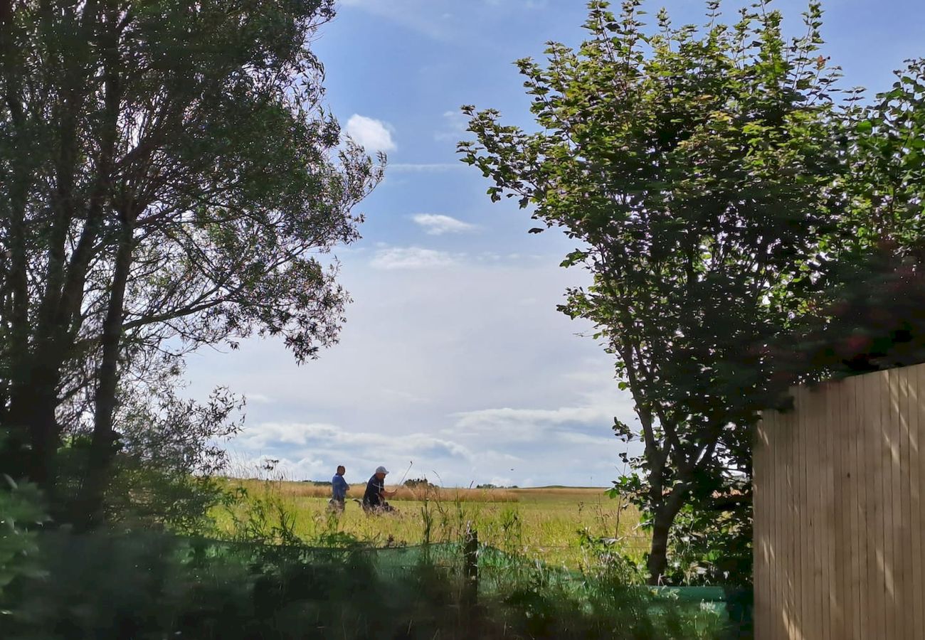 House in Crail - Golfers Haven Links Cottage