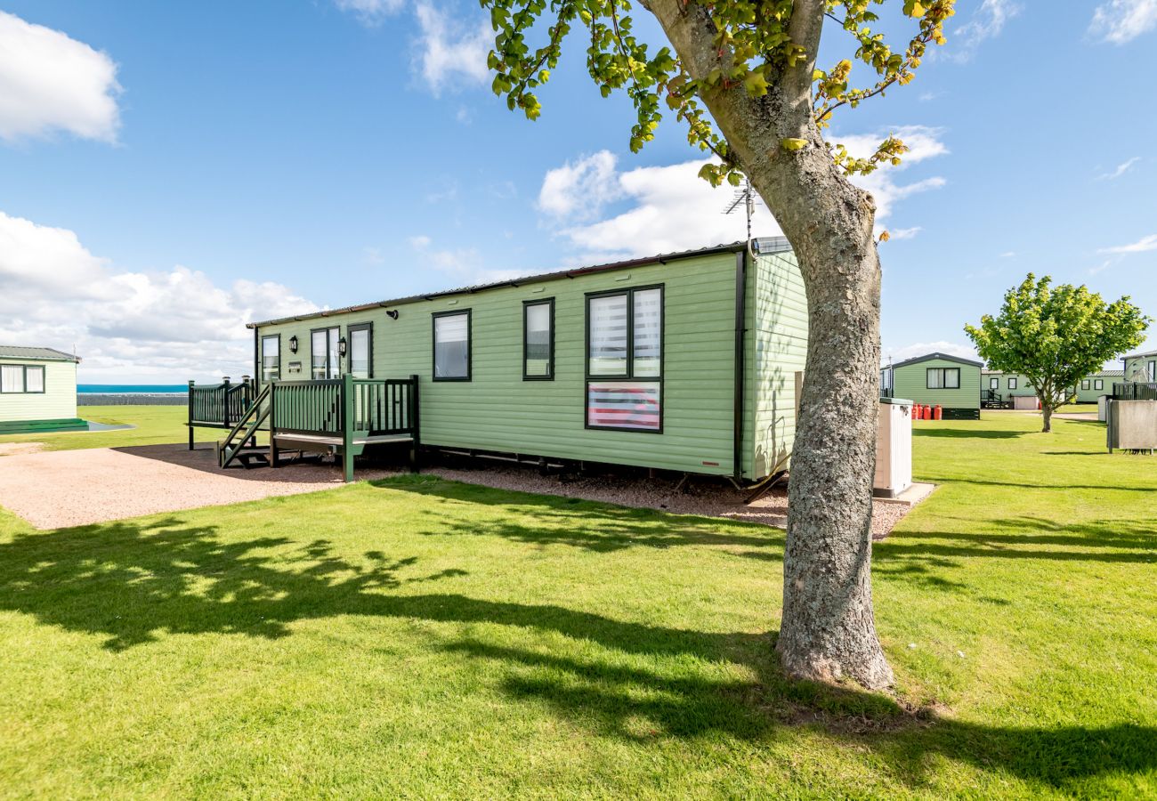 Mobile home in St Andrews - St Andrews Holiday Park | Harbour Reach (No 11)